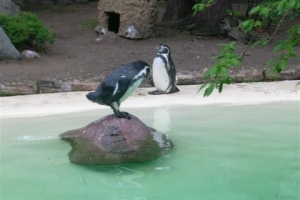 zoo_eberswalde_2008_02