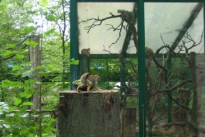 zoo_eberswalde_2008_03