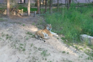 zoo_eberswalde_2008_08