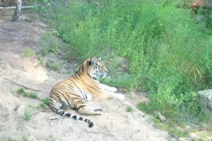 zoo_eberswalde_2008_09
