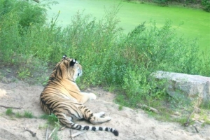 zoo_eberswalde_2008_10