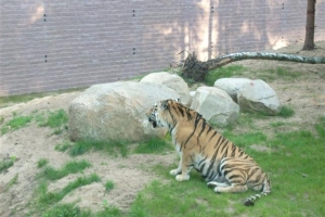 zoo_eberswalde_2008_12