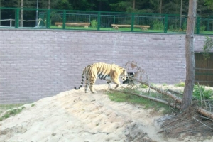 zoo_eberswalde_2008_14