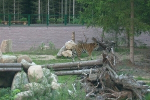 zoo_eberswalde_2008_15