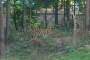 zoo_eberswalde_2008_16