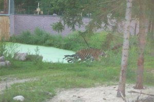 zoo_eberswalde_2008_17