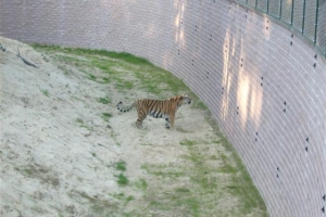 zoo_eberswalde_2008_18