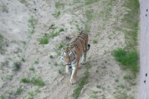 zoo_eberswalde_2008_19