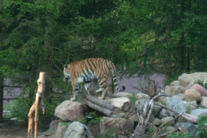 zoo_eberswalde_2008_20
