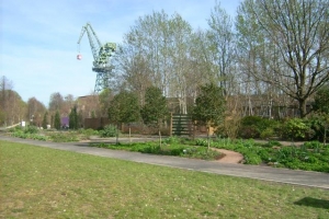 familiengarten_2007_6
