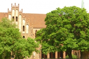chorin_kloster_10